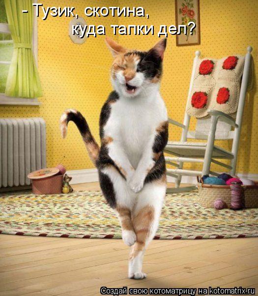 - Тузик, скотина, куда тапки дел?... Котоматрица: - Тузик, скотина, куда тапки дел?