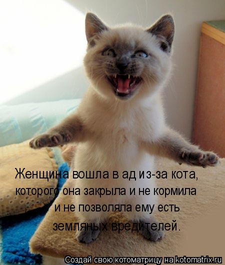 Женщина вошла в ад из-за кота, которого она закрыла и не кормила и не позволяла ему есть земляных вре... Котоматрица: Женщина вошла в ад из-за кота, которого она закрыла и не кормила и не позволяла ему есть земляных вредителей.