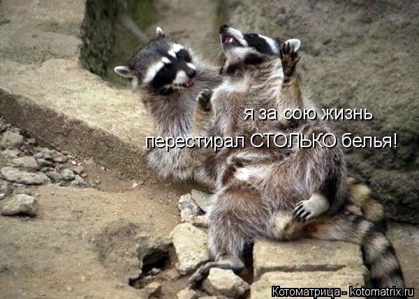 я за сою жизнь перестирал СТОЛЬКО белья!... Котоматрица: я за сою жизнь перестирал СТОЛЬКО белья!