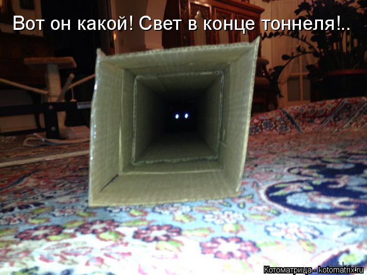 Вот он какой! Свет в конце тоннеля!..... Котоматрица: Вот он какой! Свет в конце тоннеля!..