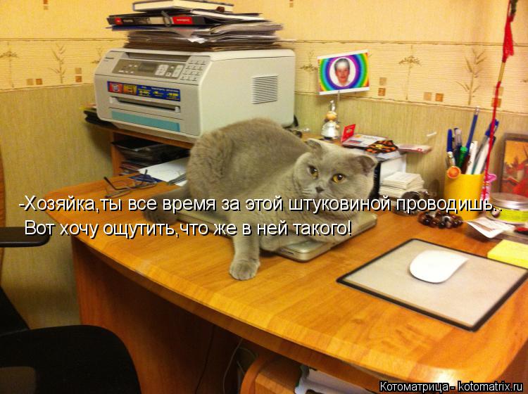 -Хозяйка,ты все время за этой штуковиной проводишь.. Вот хочу ощутить,что же в ней такого!... Котоматрица: -Хозяйка,ты все время за этой штуковиной проводишь.. Вот хочу ощутить,что же в ней такого!