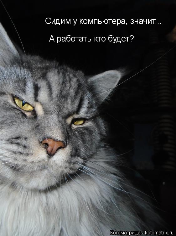 Сидим у компьютера, значит... А работать кто будет?... Котоматрица: Сидим у компьютера, значит... А работать кто будет?