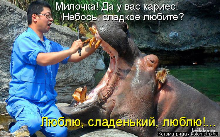 Милочка! Да у вас кариес! Небось, сладкое любите? Люблю, сладенький, люблю!...... Котоматрица: Милочка! Да у вас кариес! Небось, сладкое любите? Люблю, сладенький, люблю!...