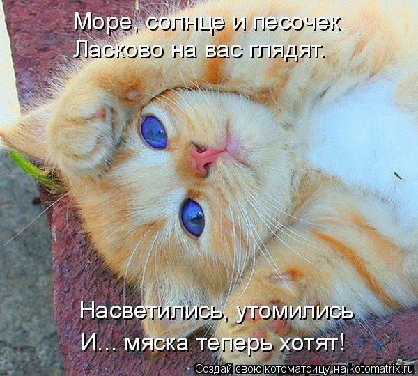 Море, солнце и песочек Ласково на вас глядят. Насветились, утомились И... мяска теперь хотят!... Котоматрица: Море, солнце и песочек Ласково на вас глядят. Насветились, утомились И... мяска теперь хотят!