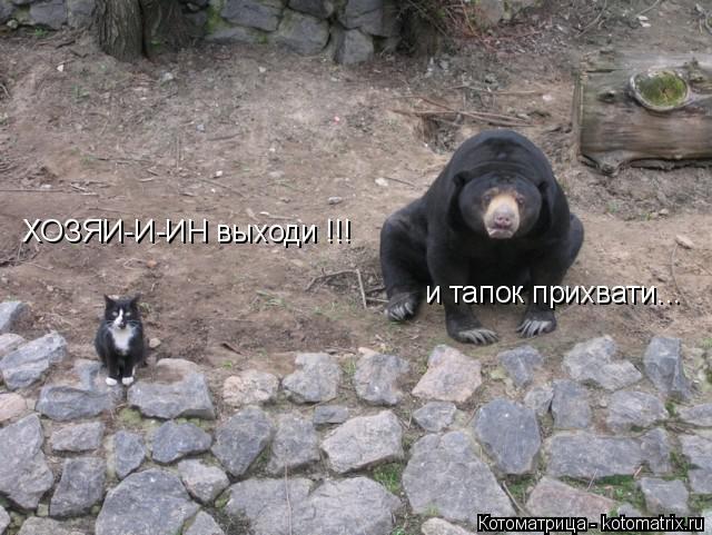 ХОЗЯИ-И-ИН выходи !!! и тапок прихвати...... Котоматрица: ХОЗЯИ-И-ИН выходи !!! и тапок прихвати...