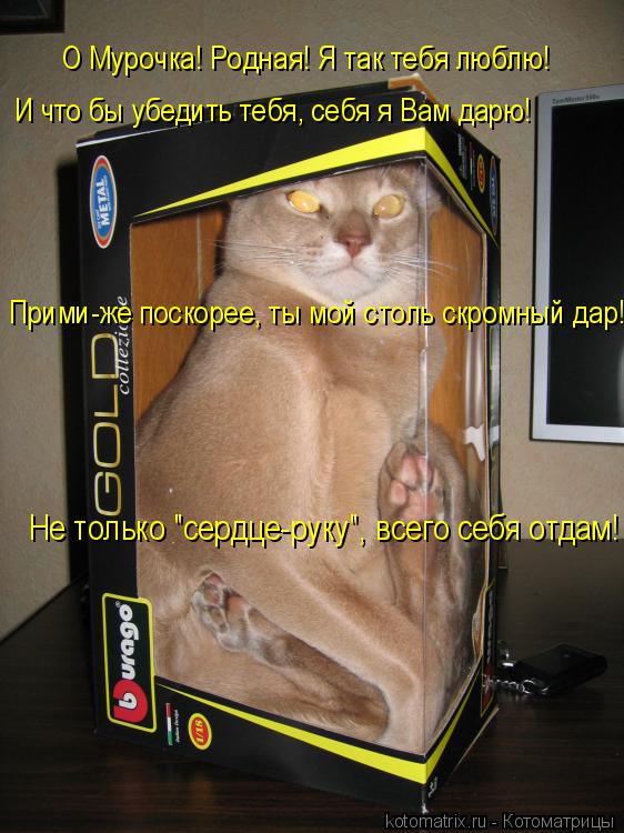 О Мурочка! Родная! Я так тебя люблю! И что бы убедить тебя, себя я Вам дарю! Прими-же поскорее, ты мо... Котоматрица: О Мурочка! Родная! Я так тебя люблю! И что бы убедить тебя, себя я Вам дарю! Прими-же поскорее, ты мой столь скромный дар! Не только "сердце-руку