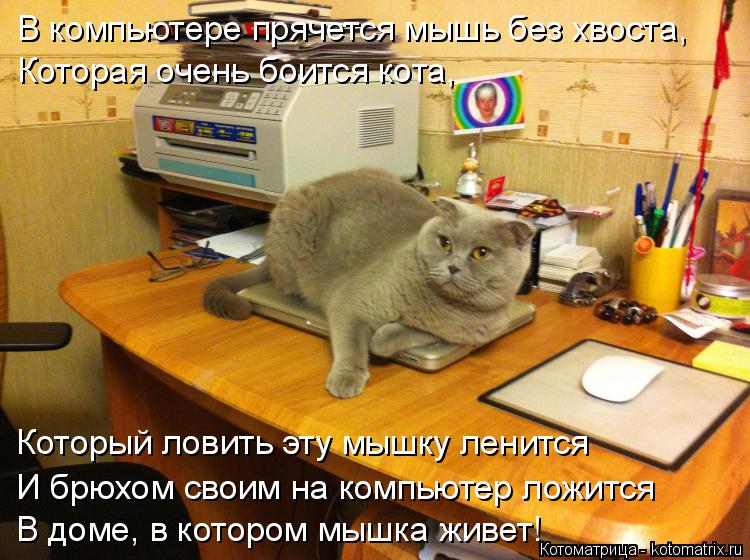 В компьютере прячется мышь без хвоста, Которая очень боится кота, В доме, в котором мышка живет! И бр... Котоматрица: В компьютере прячется мышь без хвоста, Которая очень боится кота, В доме, в котором мышка живет! И брюхом своим на компьютер ложится Который