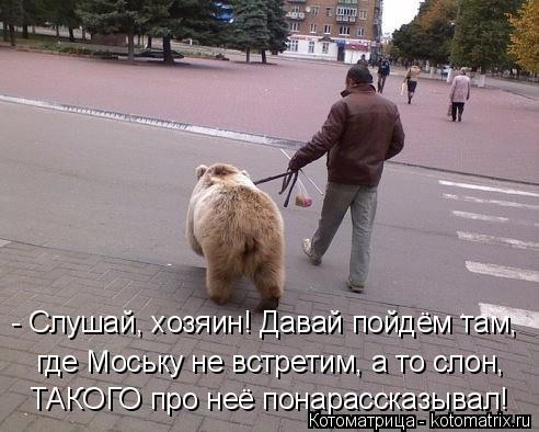 - Слушай, хозяин! Давай пойдём там, где Моську не встретим, а то слон, ТАКОГО про неё понарассказыв... Котоматрица: - Слушай, хозяин! Давай пойдём там, где Моську не встретим, а то слон, ТАКОГО про неё понарассказывал!