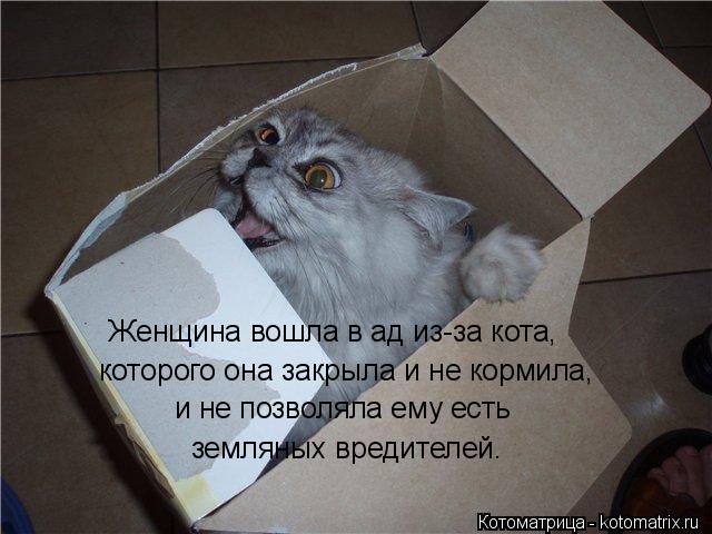 Женщина вошла в ад из-за кота, которого она закрыла и не кормила, и не позволяла ему есть земляных вр... Котоматрица: Женщина вошла в ад из-за кота, которого она закрыла и не кормила, и не позволяла ему есть земляных вредителей.