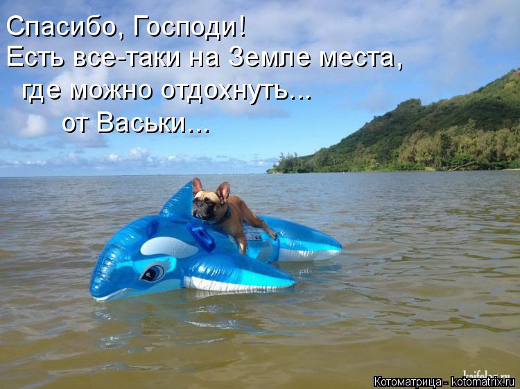 Спасибо, Господи! Есть все-таки на Земле места, где можно отдохнуть... от Васьки...... Котоматрица: Спасибо, Господи! Есть все-таки на Земле места, где можно отдохнуть... от Васьки...