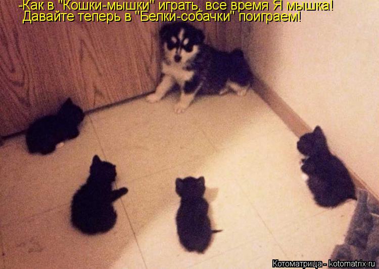 -Как в "Кошки-мышки" играть, все время Я мышка! Давайте теперь в "Белки-собачки" поиграем!... Котоматрица: -Как в "Кошки-мышки" играть, все время Я мышка! Давайте теперь в "Белки-собачки" поиграем!