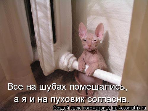 Все на шубах помешались, а я и на пуховик согласна.... Котоматрица: Все на шубах помешались, а я и на пуховик согласна.