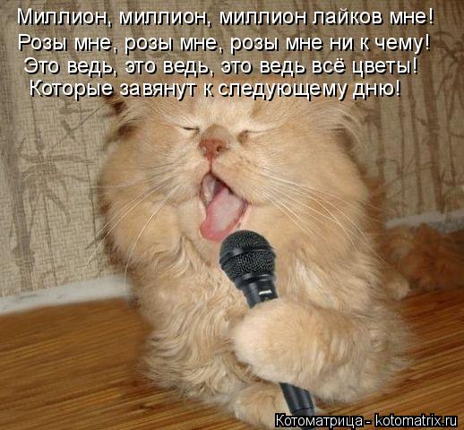 Миллион, миллион, миллион лайков мне! Розы мне, розы мне, розы мне ни к чему! Это ведь, это ведь, это... Котоматрица: Миллион, миллион, миллион лайков мне! Розы мне, розы мне, розы мне ни к чему! Это ведь, это ведь, это ведь всё цветы! Которые завянут к следующе