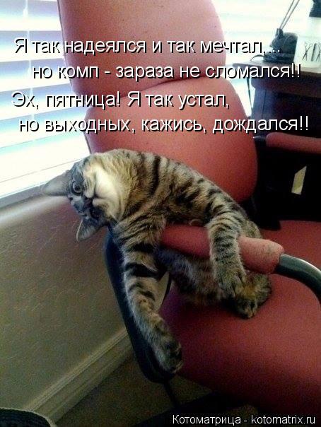 Я так надеялся и так мечтал,... но комп - зараза не сломался!! Эх, пятница! Я так устал, но выходных,... Котоматрица: Я так надеялся и так мечтал,... но комп - зараза не сломался!! Эх, пятница! Я так устал, но выходных, кажись, дождался!!