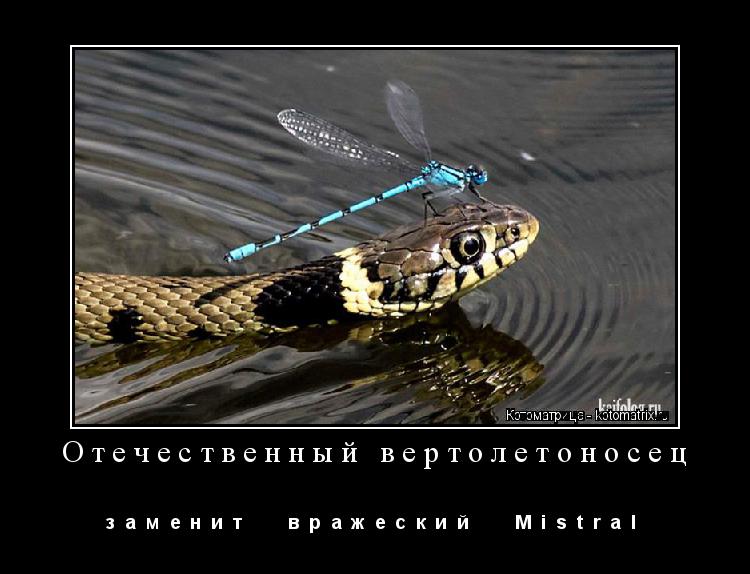 Отечественный вертолетоносец з а м е н и т в р а ж е с к и й M i s t... Котоматрица: Отечественный вертолетоносец з а м е н и т в р а ж е с к и й M i s t r a l