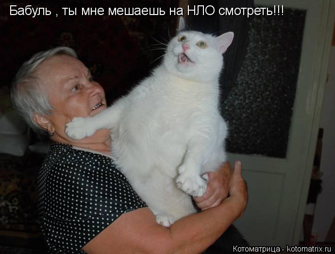 Бабуль , ты мне мешаешь на НЛО смотреть!!!... Котоматрица: Бабуль , ты мне мешаешь на НЛО смотреть!!!