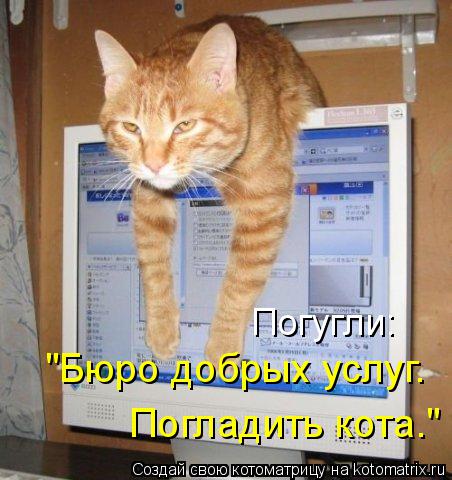 Погугли: "Бюро добрых услуг. Погладить кота."... Котоматрица: Погугли: "Бюро добрых услуг. Погладить кота."