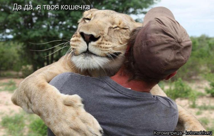 Да да, я твоя кошечка... Котоматрица: Да да, я твоя кошечка