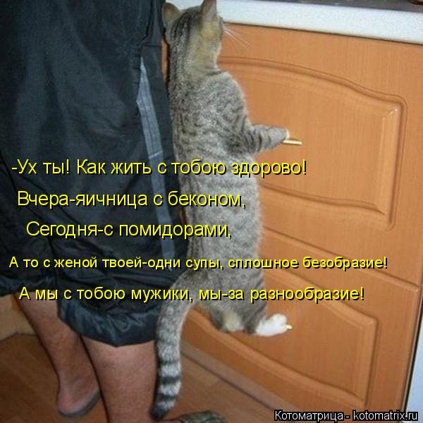 -Ух ты! Как жить с тобою здорово! Вчера-яичница с беконом, Сегодня-с помидорами, А то с женой твоей-о... Котоматрица: -Ух ты! Как жить с тобою здорово! Вчера-яичница с беконом, Сегодня-с помидорами, А то с женой твоей-одни супы, сплошное безобразие! А мы с тобою