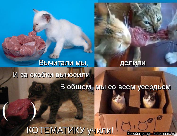 Вычитали мы, делили И за скобки выносили. КОТЕМАТИКУ учили! В общем, мы со всем усердье... Котоматрица: Вычитали мы, делили И за скобки выносили. КОТЕМАТИКУ учили! В общем, мы со всем усердьем