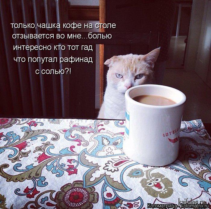 только,чашка кофе на столе отзывается во мне...болью интересно кто тот гад что попутал рафинад с соль... Котоматрица: только,чашка кофе на столе отзывается во мне...болью интересно кто тот гад что попутал рафинад с солью?!