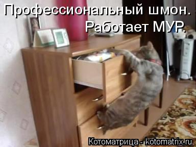 Профессиональный шмон. Работает МУР.... Котоматрица: Профессиональный шмон. Работает МУР.