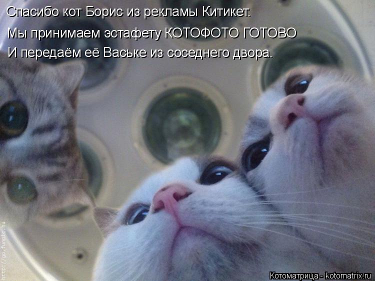 Спасибо кот Борис из рекламы Китикет. Мы принимаем эстафету КОТОФОТО ГОТОВО И передаём её Ваське из с... Котоматрица: Спасибо кот Борис из рекламы Китикет. Мы принимаем эстафету КОТОФОТО ГОТОВО И передаём её Ваське из соседнего двора.