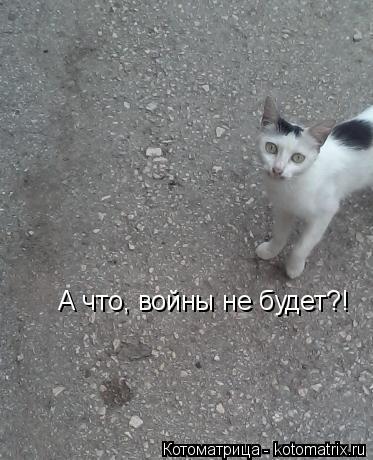 А что, войны не будет?!... Котоматрица: А что, войны не будет?!