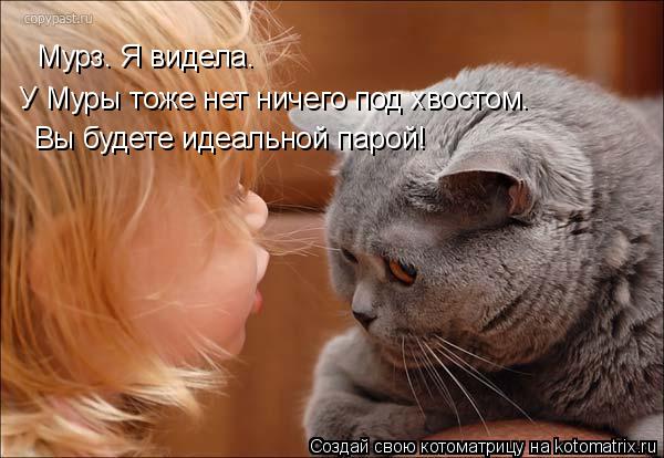 Мурз. Я видела. У Муры тоже нет ничего под хвостом. Вы будете идеальной парой!... Котоматрица: Мурз. Я видела. У Муры тоже нет ничего под хвостом. Вы будете идеальной парой!