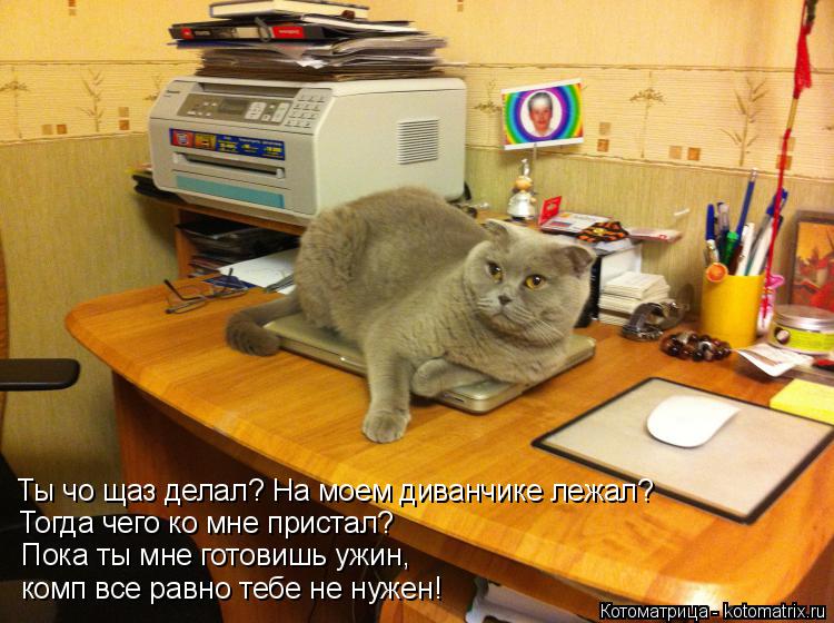 Ты чо щаз делал? На моем диванчике лежал? Тогда чего ко мне пристал? Пока ты мне готовишь ужин, комп... Котоматрица: Ты чо щаз делал? На моем диванчике лежал? Тогда чего ко мне пристал? Пока ты мне готовишь ужин, комп все равно тебе не нужен!