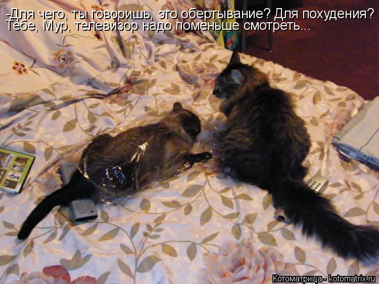-Для чего, ты говоришь, это обертывание? Для похудения? Тебе, Мур, телевизор надо поменьше смотреть..... Котоматрица: -Для чего, ты говоришь, это обертывание? Для похудения? Тебе, Мур, телевизор надо поменьше смотреть...