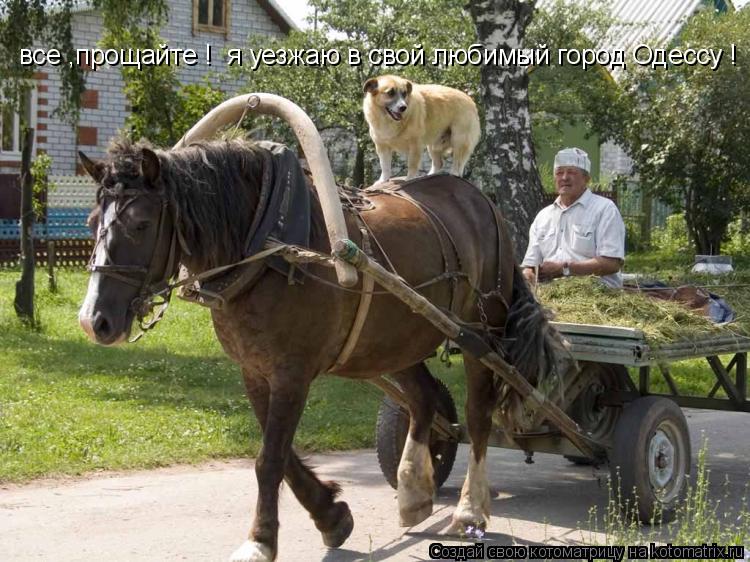 все ,прощайте ! я уезжаю в свой любимый город Одессу !... Котоматрица: все ,прощайте ! я уезжаю в свой любимый город Одессу !