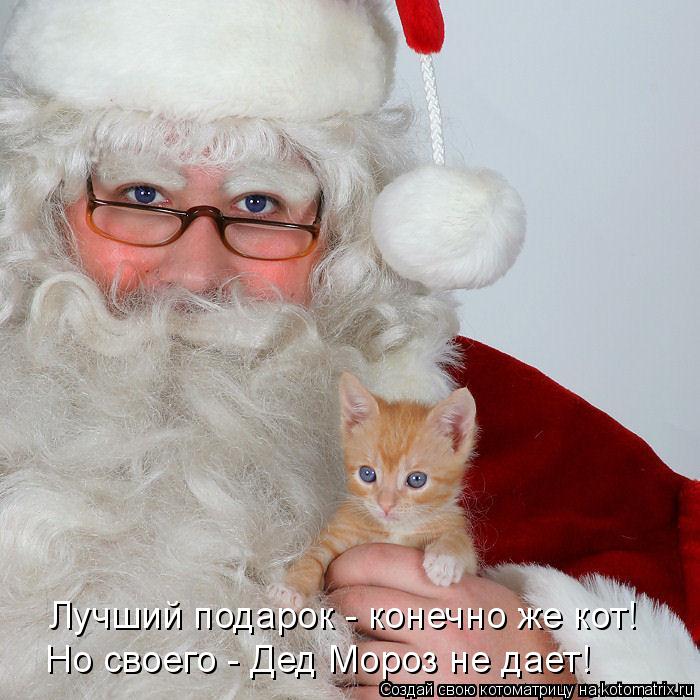 Лучший подарок - конечно же кот! Но своего - Дед Мороз не дает!... Котоматрица: Лучший подарок - конечно же кот! Но своего - Дед Мороз не дает!