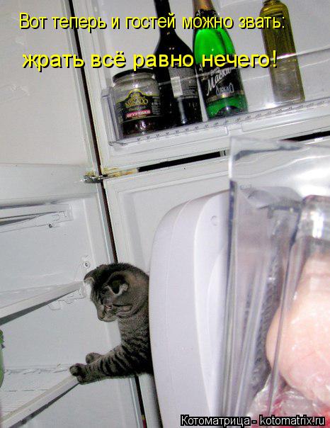 Вот теперь и гостей можно звать: жрать всё равно нечего!... Котоматрица: Вот теперь и гостей можно звать: жрать всё равно нечего!