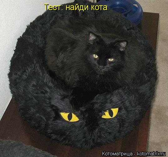 Тест: найди кота... Котоматрица: Тест: найди кота