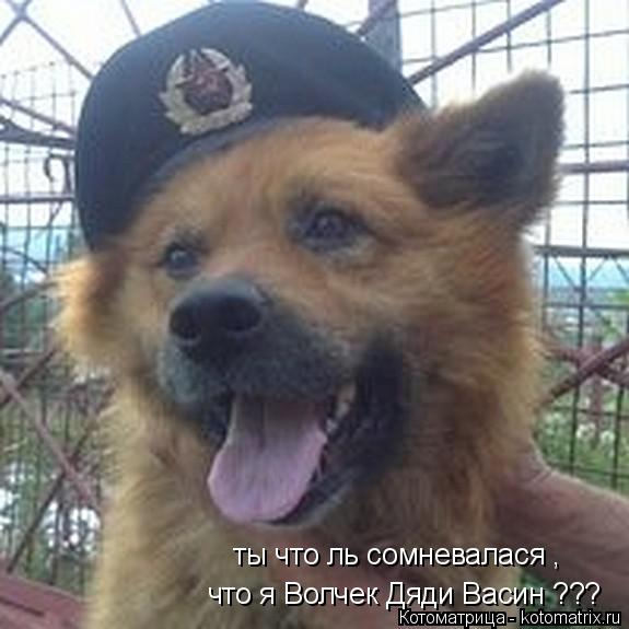 ты что ль сомневалася , что я Волчек Дяди Васин ???... Котоматрица: ты что ль сомневалася , что я Волчек Дяди Васин ???