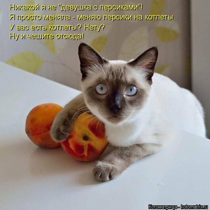 Никакой я не "девушка с персиками"! Я просто меняла - меняю персики на котлеты. У вас есть котлеты? Н... Котоматрица: Никакой я не "девушка с персиками"! Я просто меняла - меняю персики на котлеты. У вас есть котлеты? Нету? Ну и чешите отсюда!