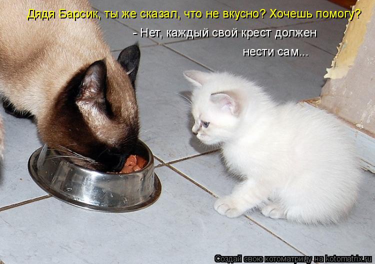 Котоматрица: Дядя Барсик, ты же сказал, что не вкусно? Хочешь помогу? - Нет, каждый свой крест должен нести сам...