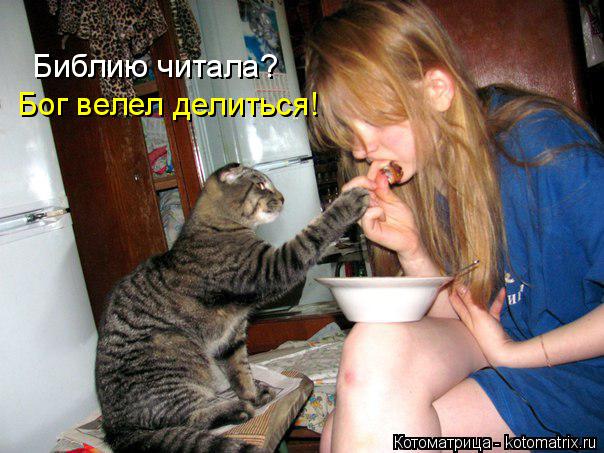 Библию читала? Бог велел делиться!... Котоматрица: Библию читала? Бог велел делиться!