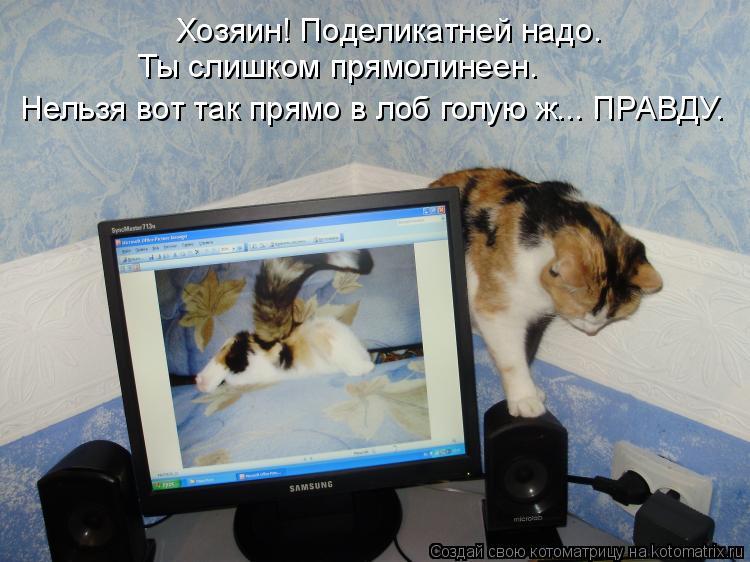 Хозяин! Поделикатней надо. Ты слишком прямолинеен. Нельзя вот так прямо в лоб голую ж... ПРАВДУ.... Котоматрица: Хозяин! Поделикатней надо. Ты слишком прямолинеен. Нельзя вот так прямо в лоб голую ж... ПРАВДУ.