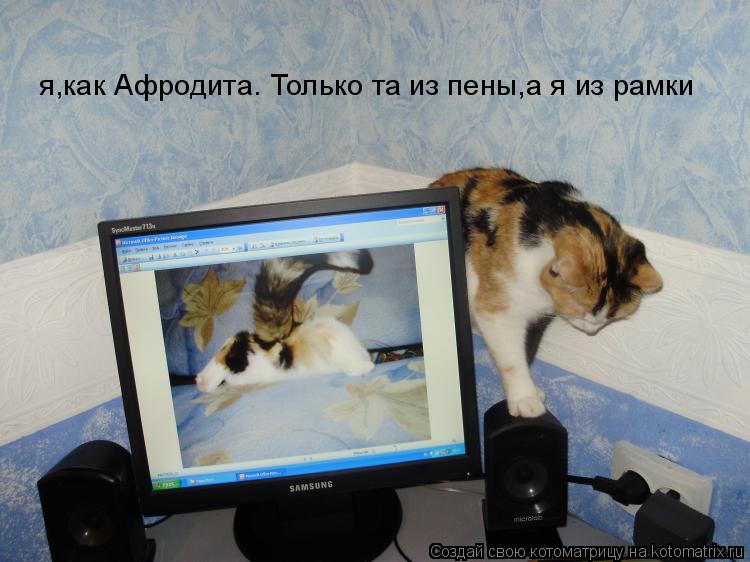 я,как Афродита. Только та из пены,а я из рамки... Котоматрица: я,как Афродита. Только та из пены,а я из рамки