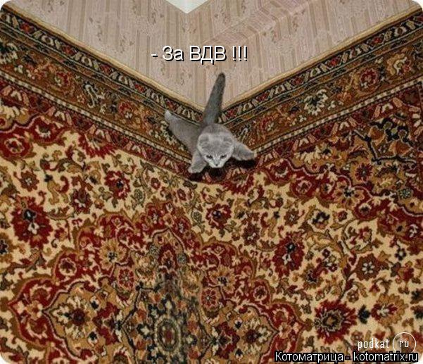 - За ВДВ !!!... Котоматрица: - За ВДВ !!!