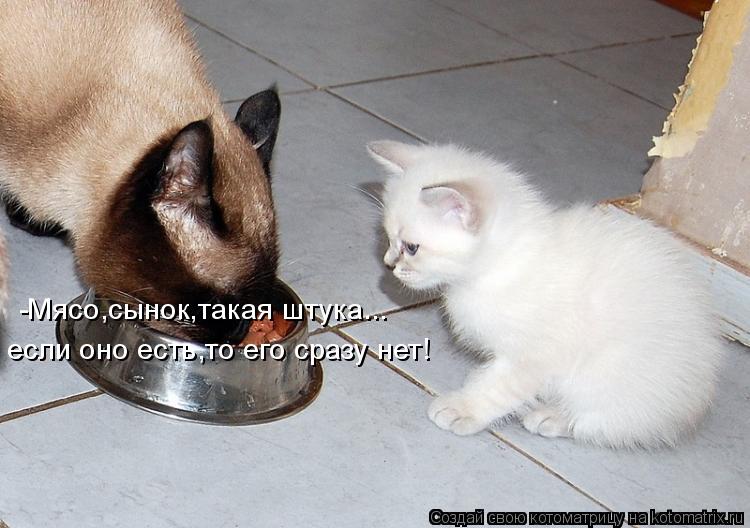 -Мясо,сынок,такая штука... если оно есть,то его сразу нет!... Котоматрица: -Мясо,сынок,такая штука... если оно есть,то его сразу нет!