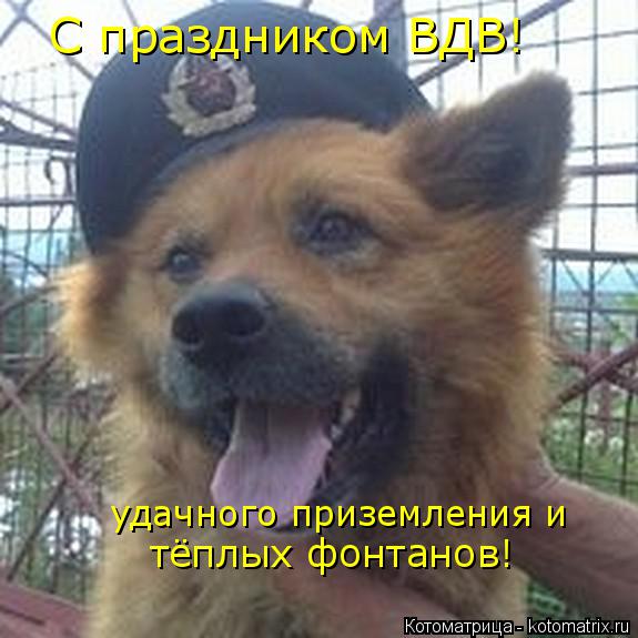С праздником ВДВ! удачного приземления и тёплых фонтанов!... Котоматрица: С праздником ВДВ! удачного приземления и тёплых фонтанов!