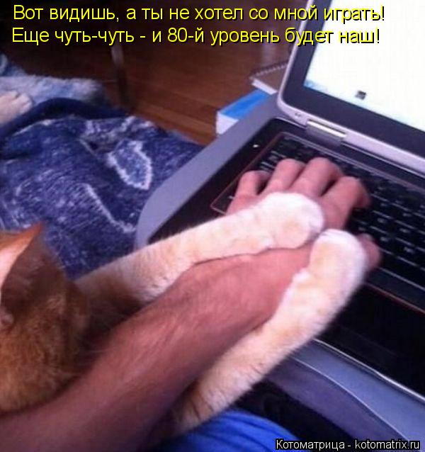 Вот видишь, а ты не хотел со мной играть! Еще чуть-чуть - и 80-й уровень будет наш!... Котоматрица: Вот видишь, а ты не хотел со мной играть! Еще чуть-чуть - и 80-й уровень будет наш!