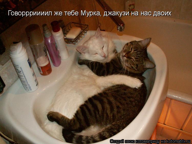 Говоррриииил же тебе Мурка, джакузи на нас двоих... Котоматрица: Говоррриииил же тебе Мурка, джакузи на нас двоих