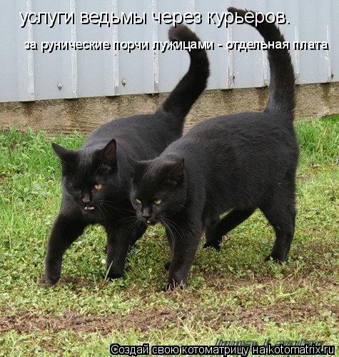 услуги ведьмы через курьеров. за рунические порчи лужицами - отдельная плата... Котоматрица: услуги ведьмы через курьеров. за рунические порчи лужицами - отдельная плата