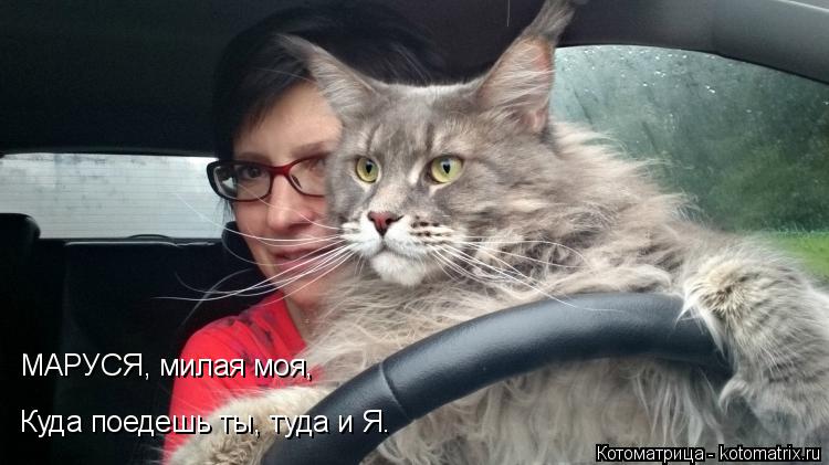 МАРУСЯ, милая моя, Куда поедешь ты, туда и Я.... Котоматрица: МАРУСЯ, милая моя, Куда поедешь ты, туда и Я.