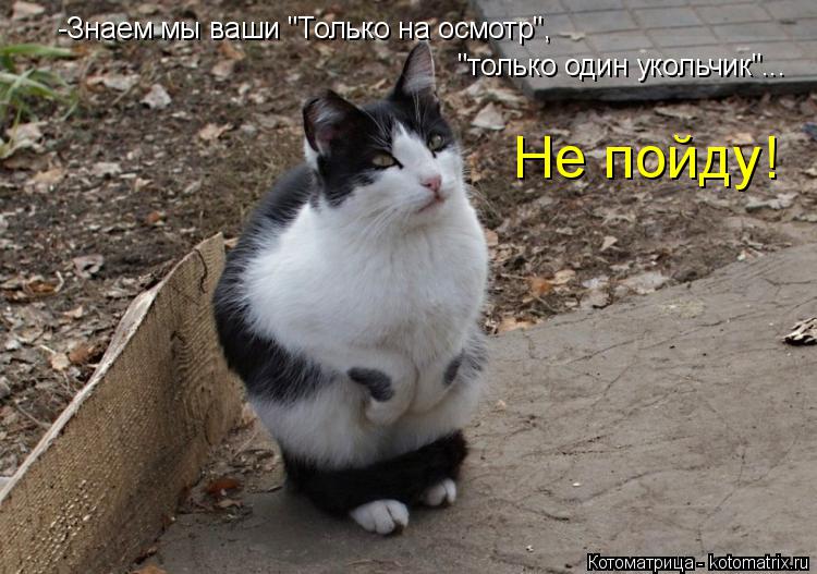 -Знаем мы ваши "Только на осмотр", "только один укольчик"... Не пойду!... Котоматрица: -Знаем мы ваши "Только на осмотр", "только один укольчик"... Не пойду!