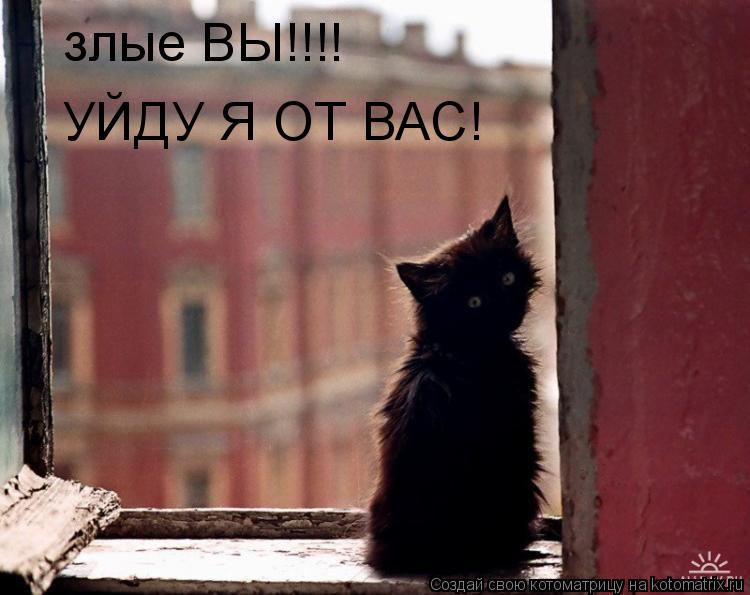 злые ВЫ!!!! УЙДУ Я ОТ ВАС!... Котоматрица: злые ВЫ!!!! УЙДУ Я ОТ ВАС!